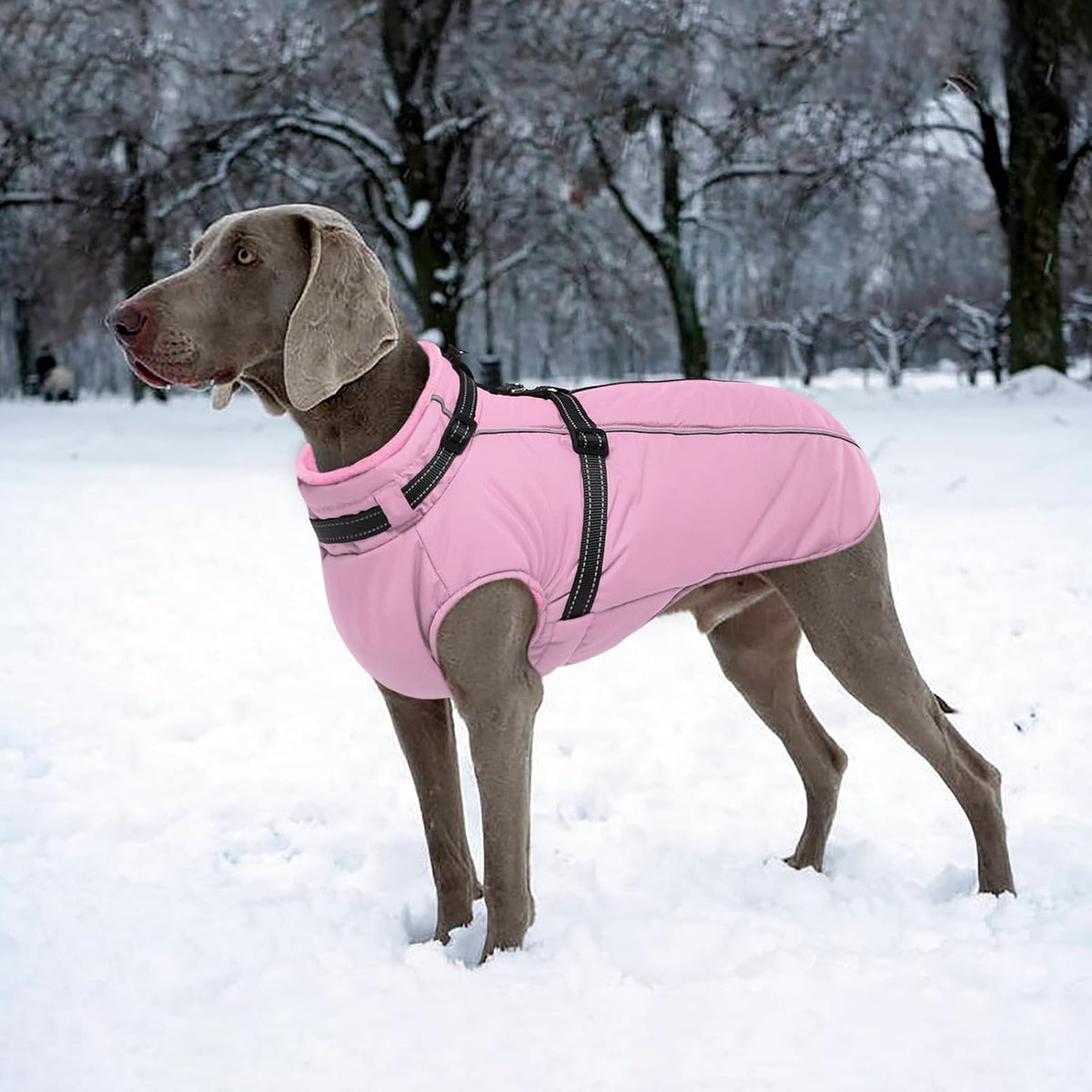 Dog Coat for Large Dogs Waterproof Dog Jacket with Harness Built in – Essentials for Dogs - XXX-Large / Pink - image 3
