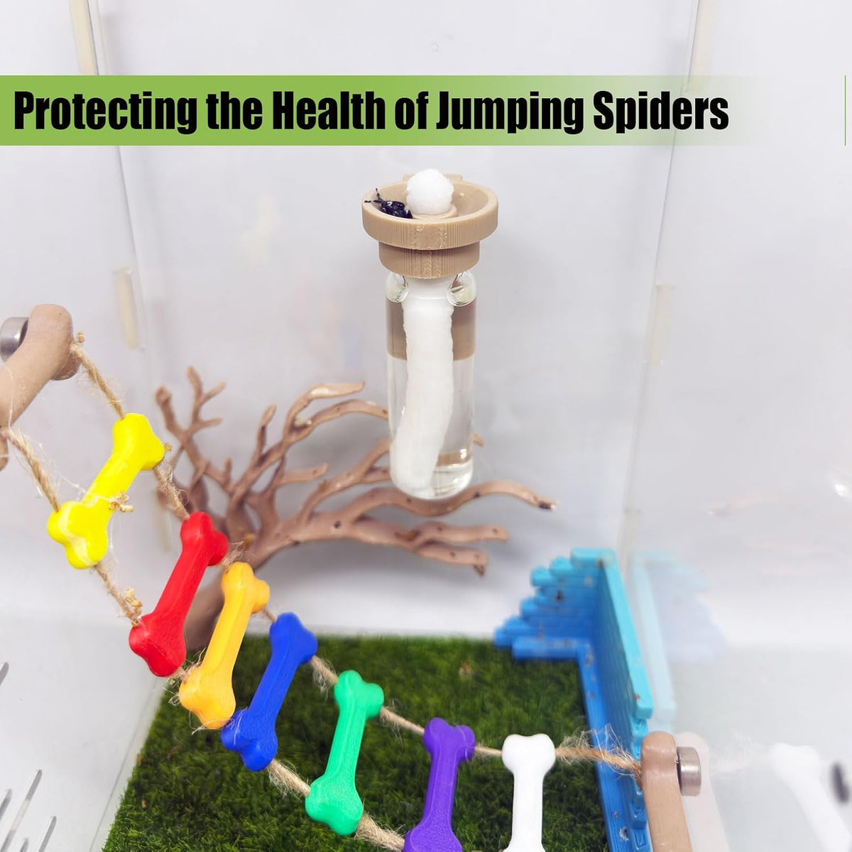 Jumping Spider Water Dispenser, Magnetic Hanging Feeder - Wood color / 5ML - image 3