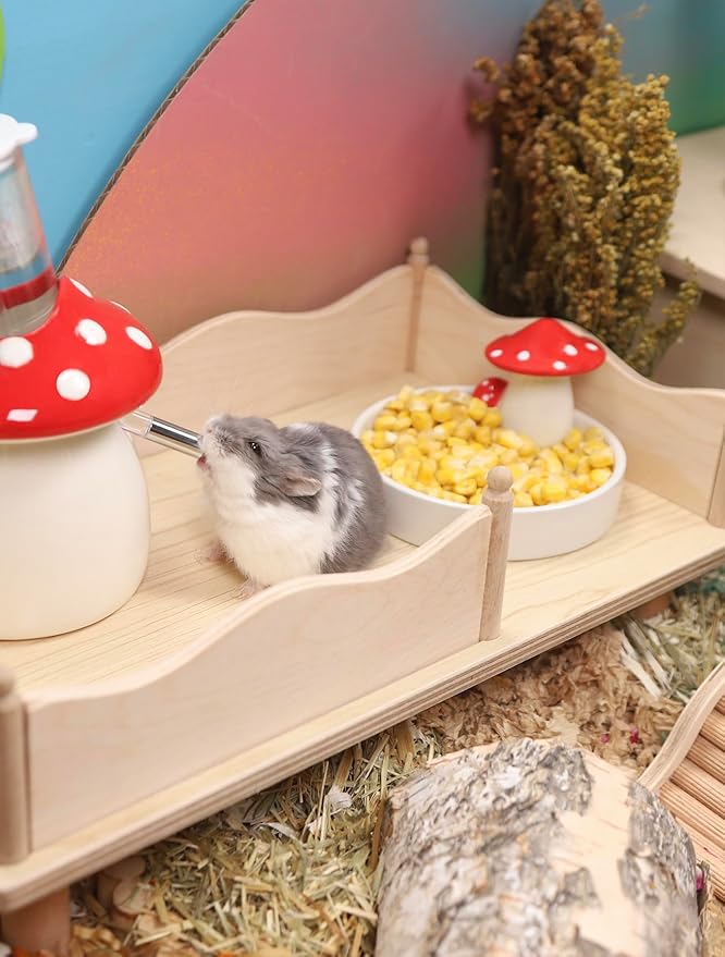 Niteangel Hamster Snack & Treats Toy - Small Animal Natural Treat for Dwarf Syrian Robo Hamsters Gerbils Mice Lemmings Degus or Other Small-Sized Pets