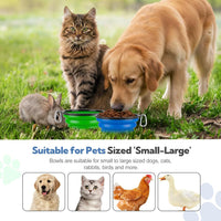 Collapsible Dog Bowl for Travel - Large / Blue+Green - image 2