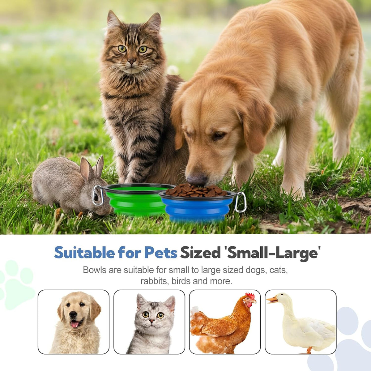 Collapsible Dog Bowl for Travel - Large / Blue+Green - image 2