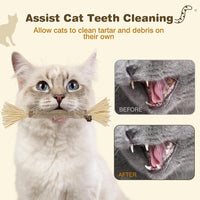 4 Pack Silvervine Sticks for Cats - Grey / 4 - image 2