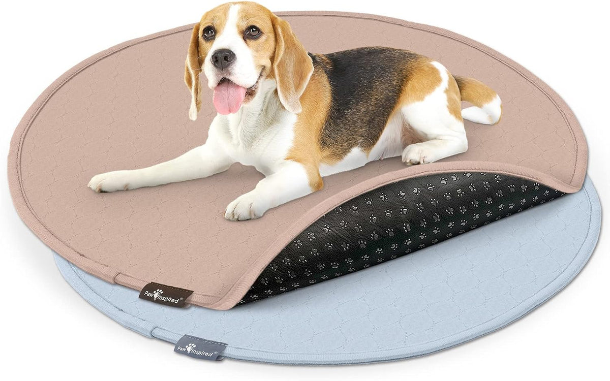 Paw Inspired Round Washable Pee Pads for Dogs - 36" (2 pack)