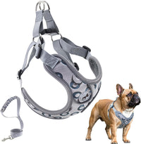 Dog Harness with Leash Set, No Pull Adjustable Step in Pet Vest – Essentials for Dogs - Gray-2 / Medium