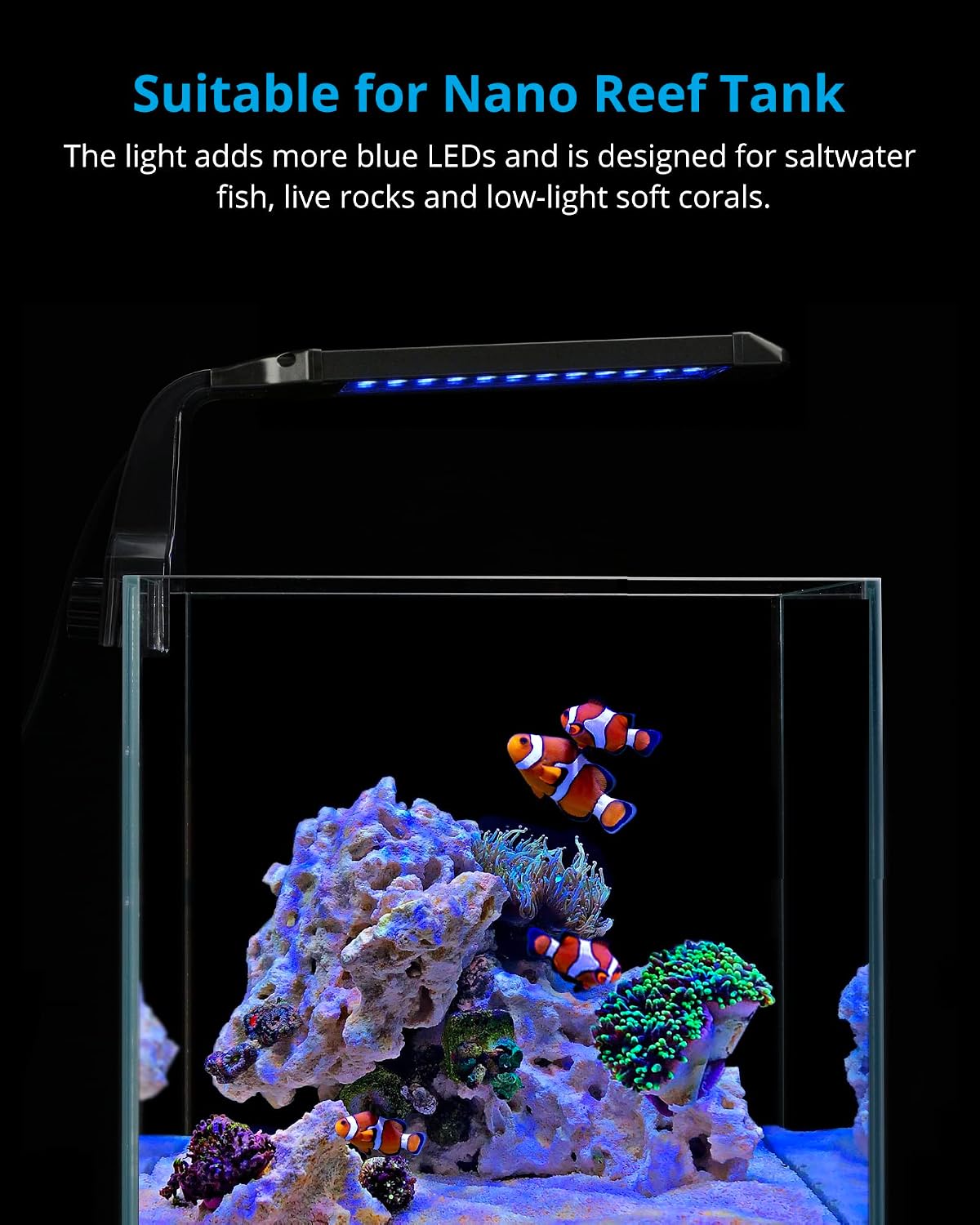 NICREW Clip-on Marine Aquarium Light for Coral Reef Tank – Essentials for Fish - For Saltwater - image 2
