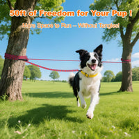 50ft Dog Tie Out Cable, Dog Leash, Long Leash for Dogs Outside - 50FT / Red - image 4