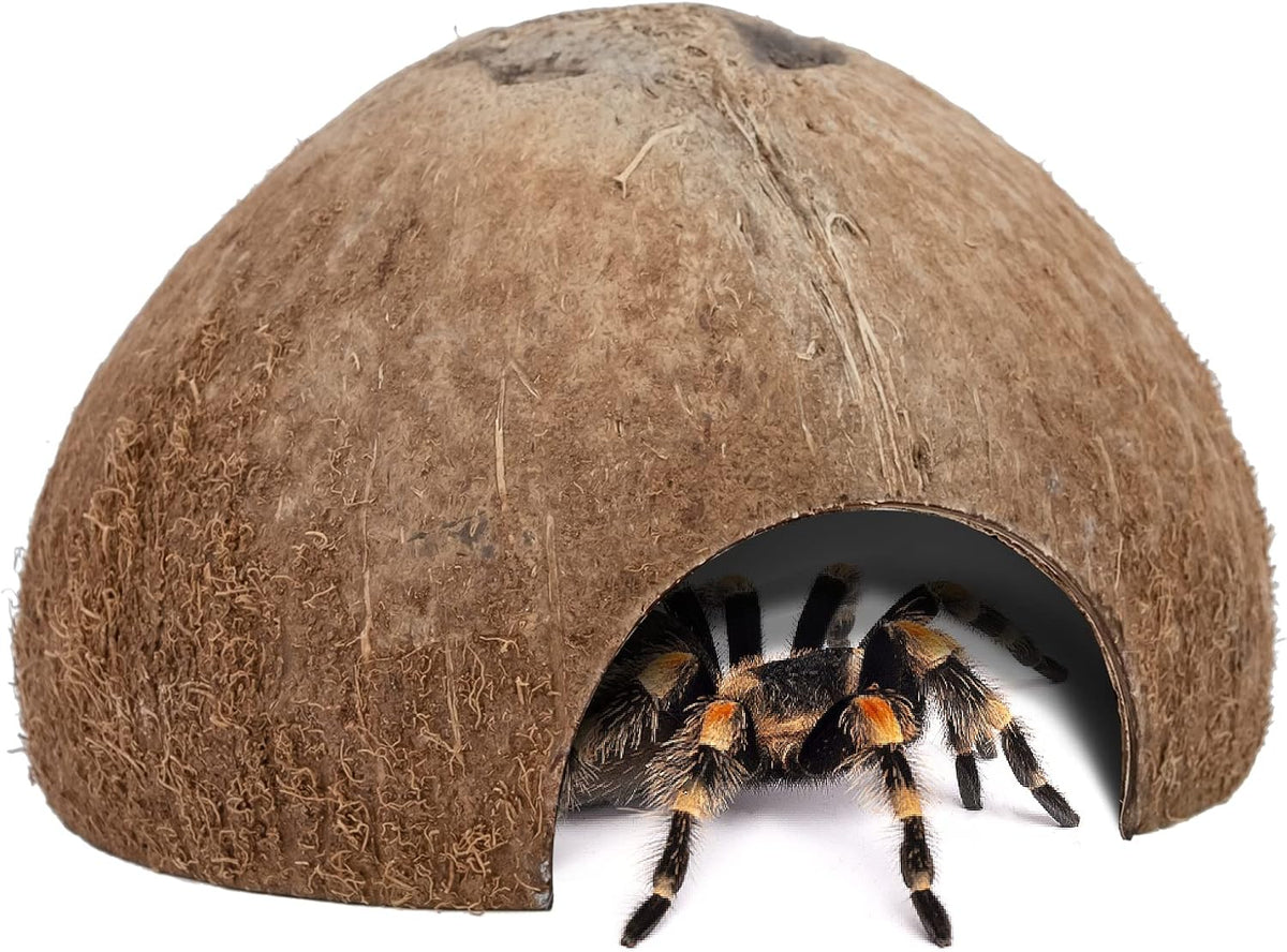 2 Pack Natural Coconut Reptile Hideouts, Lizard - Natural Surface