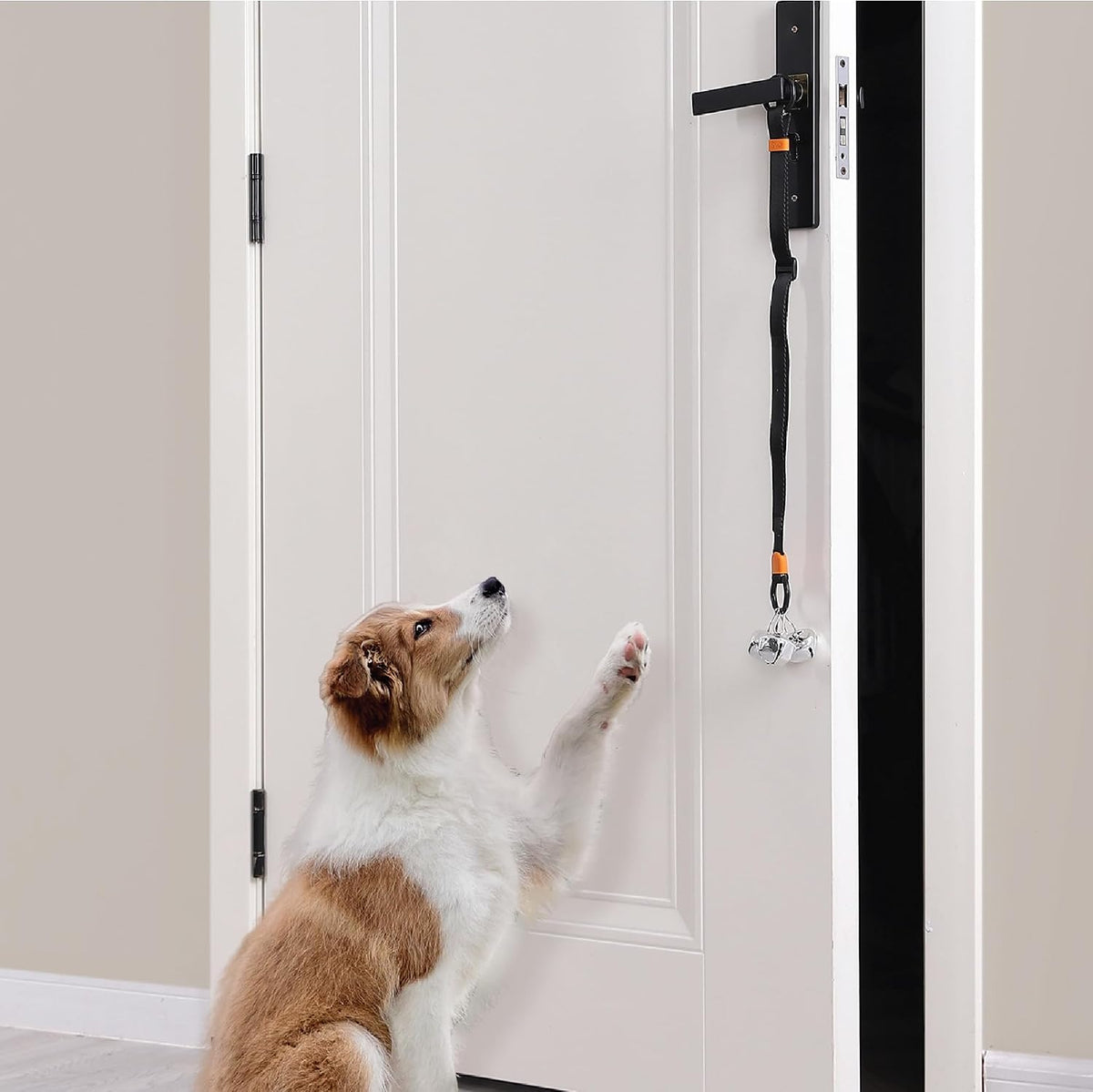 Dog Door Bell with Hanging Ring - Set of 2 Dog Bells / Navy Blue - image 3