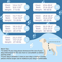 Breathable Dog Surgery Recovery Suit for Male/Female, Professional Dog Recovery Onesie with Zipper After Spay Abdominal Wounds, Anti Licking Cone E-Collar Alternative for Small Medium Large Dog