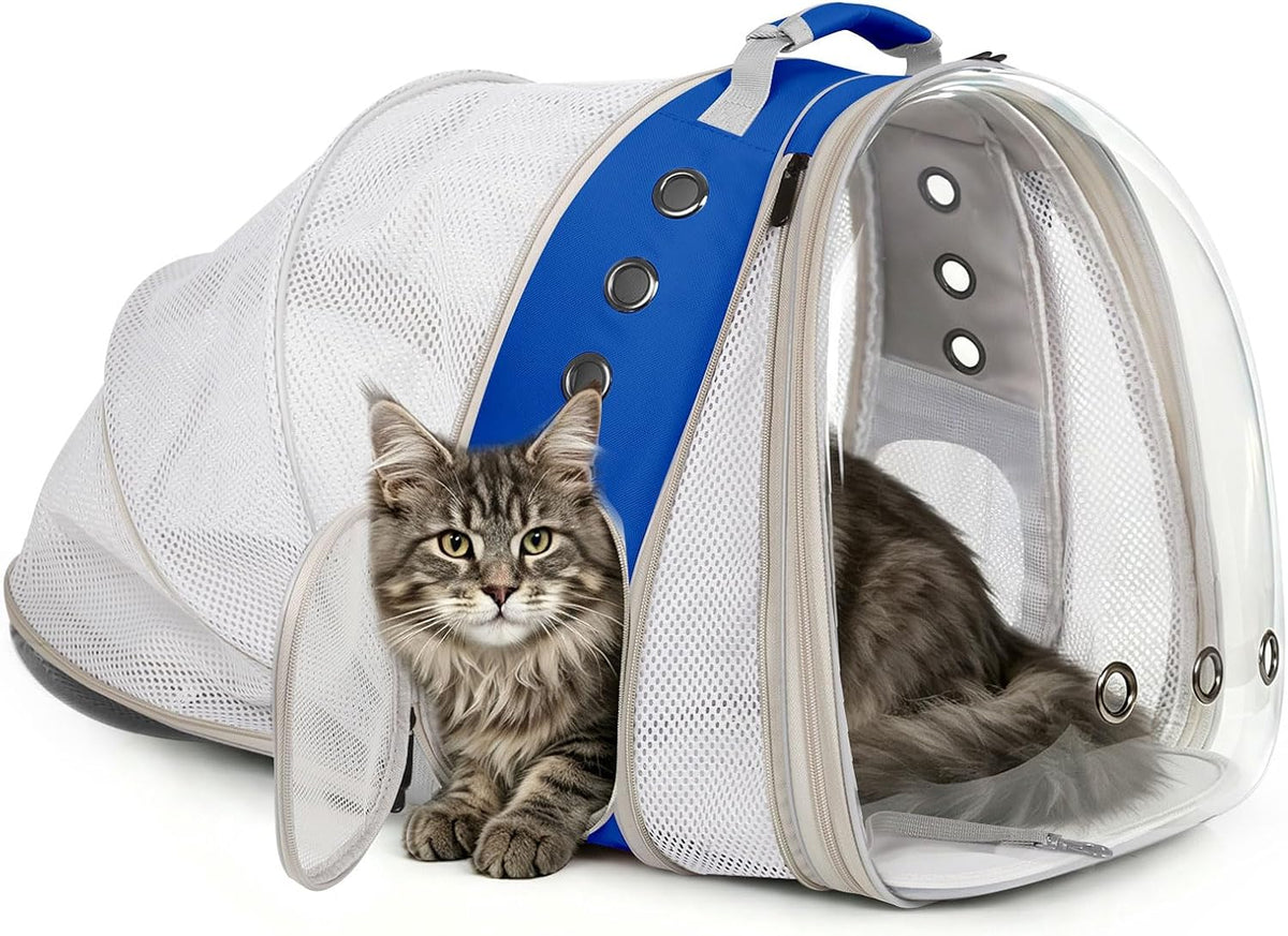 Dual Expandable Large Cat Backpack Carrier – Essentials for Cats - Blue / Clear Window