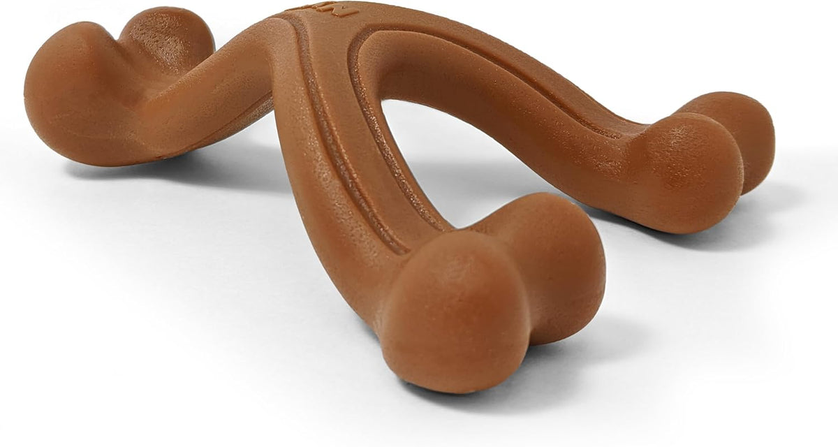 Nylabone Power Chew Customer Favorites Dog Chew Toys - Large / Wishbone