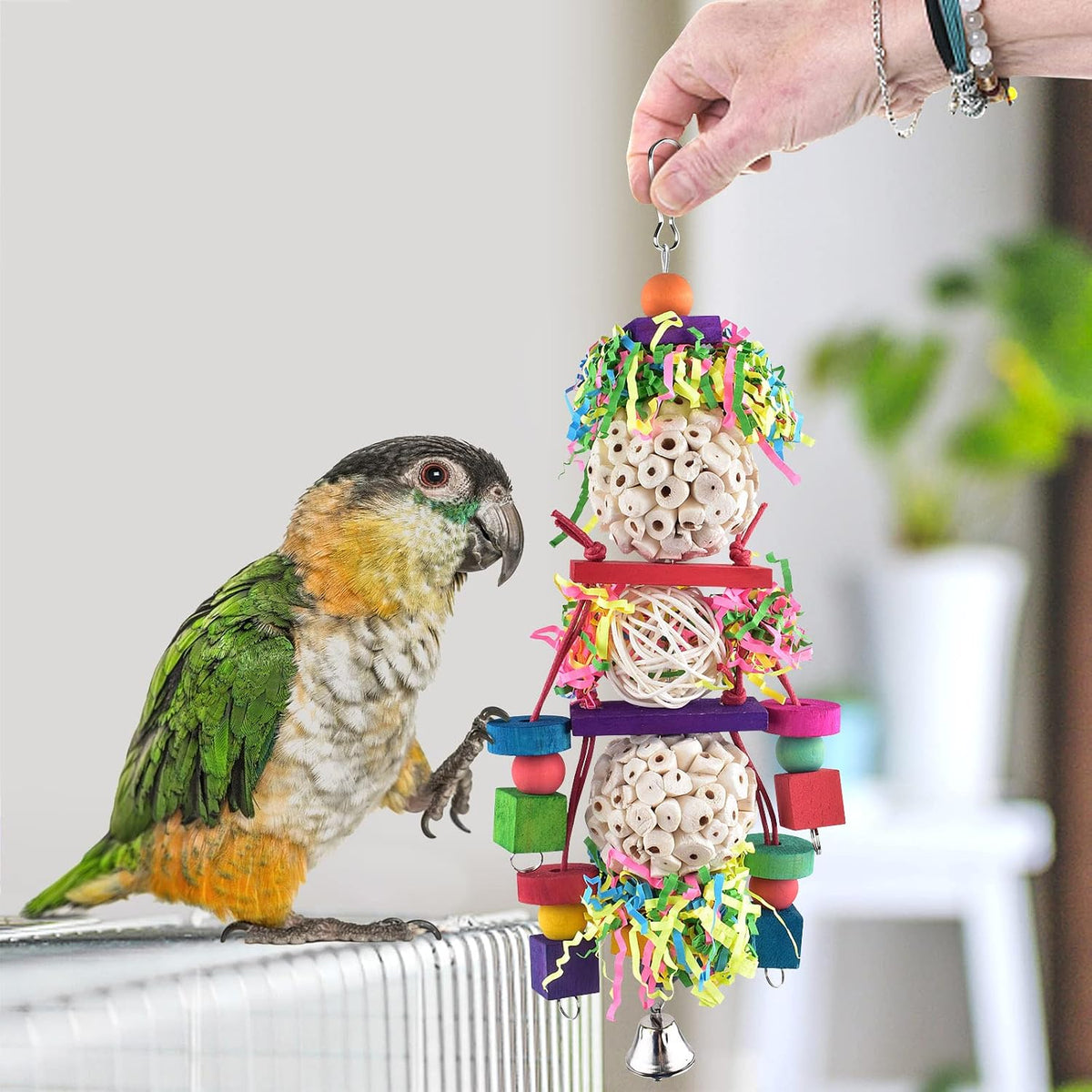 Bissap 2PCS Conure Toys, Foraging Bird Chew Sola Balls Toy for Small Parrot – Essentials for Birds - 1 PCS (Pack of 2) - image 2