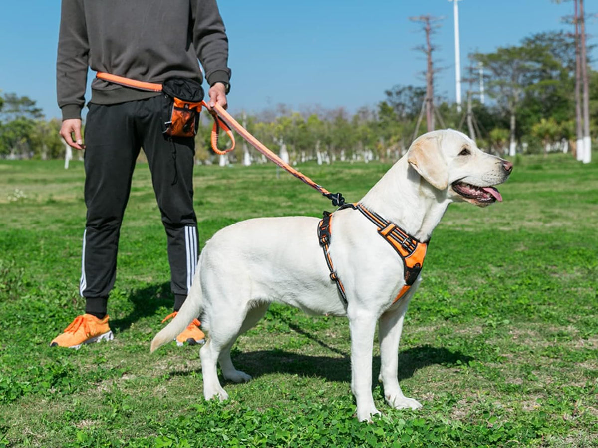 TRUE LOVE Adjustable No-Pull Dog Harness Reflective Pup Vest - L / Orange - image 4