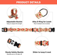 Martingale Dog Collar with Buckle - Creamy Natural / Medium - image 4