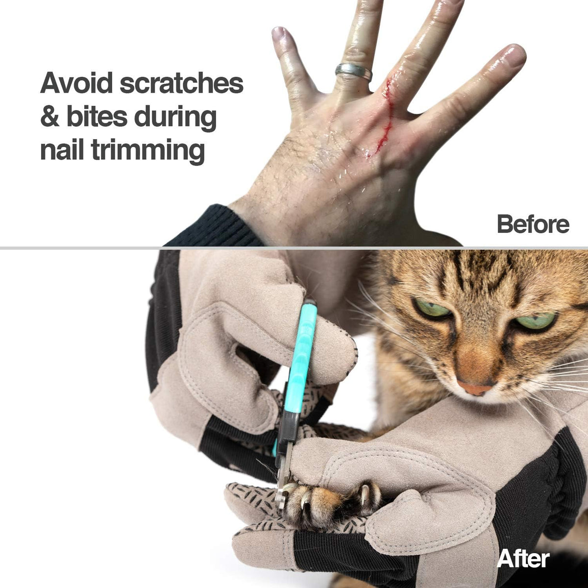 PetFusion Unisex Multi-purpose Pet Glove – Essentials for Dogs - Large / Grey - image 3