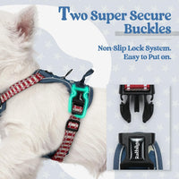 rabbitgoo Dog Harness, No Pull for Large Dogs with 2 Leash Clips - X-Small / Blue Star - image 3
