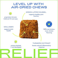 Native Pet Pain Relief for Dogs - Collagen for Dogs Promotes Joint Health, Reduce Inflammation & Stiffness - Senior Pup Joint Supplement - Natural Pain Reliever for Active & Aging Pets - 60 Chews