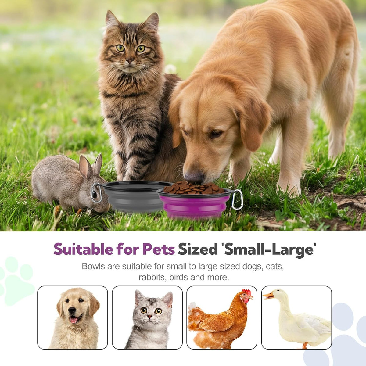 Collapsible Dog Bowl for Travel - Large / Grey+Purple - image 2