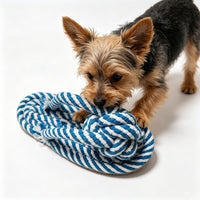 Dog Toys Puppy Teething Chew Toys 3 PCS - blue and white slippers - image 2