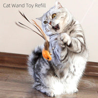 miwoowim 12 Pack Cat Wand Toy Refills with Bells - 4 birds - image 3