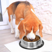 2 Pack Stainless Steel Dog Bowls with Rubber Bottom - 3.5 Cup / 28 oz - image 4