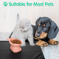 3 Pcs Raised Cat Bowl 15° Elevated Cat Food Bowl Tilted Cats Bowls - Classic - image 4