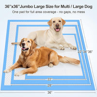 Enormous 37"x 54" Dog Training Potty Pads - 36"x36" Blue - image 2