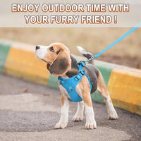 Dog Harness Step in Dog Vest Harness, Reflective Adjustable Puppy No Pull Harness Breathable Soft for Small and Medium Dogs Cats, Blue, XS