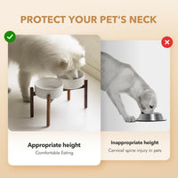 Elevated Dog Bowls, Raised Ceramic Dog Bowl for Small & Medium Dogs – Essentials for Dogs - Double Bowls with Stand- Arctic White / 7.6CUPS - image 3