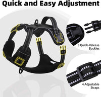 PUPTECK No Pull Halloween Dog Harness for Large - Black / Small / Harness Only - image 2