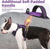 PUPTECK No Pull Dog Harness Small Sized, Adjustable Reflective Dog Harness with Handle Easy Control, Comfortable Soft Padded Pet Vest Harness for Small Dogs, Solid Purple S