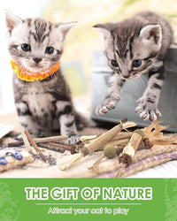 TINDTOP Catnip Chew Toys for Cats, 12 Pack Natural Silvervine Sticks for Kittens Teeth Cleaning, Matatabi Dental Care, Increase Appetite, Calm Cat Anxiety and Stress, Aggressive Chewers Cat Dental Toy