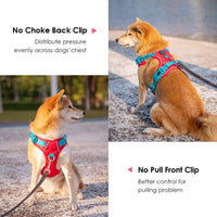 PHOEPET Upgraded No Pull Dog Harness, Reflective Adjustable Vest – Essentials for Dogs - Red Base & Teal Straps / Extra Small - image 4