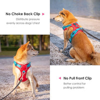 PHOEPET No Pull Dog Harness, Unique Colors Reflective Adjustable Dog Vest, with Soft Training Handle Metal Clips for Small Medium Large Dogs (Red Base & Teal Straps,S)