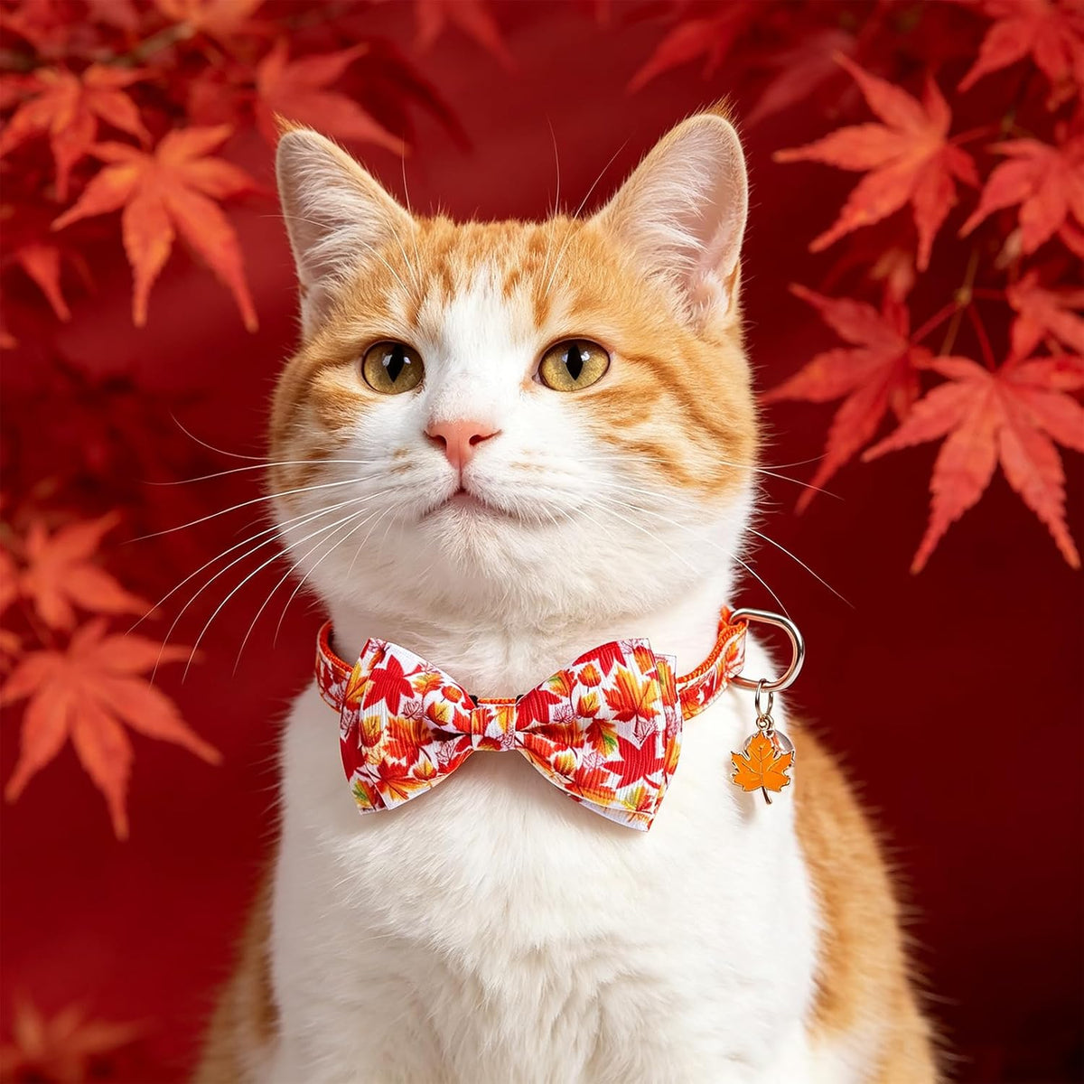 Halloween Cat Collar Breakaway with Bowtie and Bells - Turkey+Pumpkins+Maple Leaf - image 2