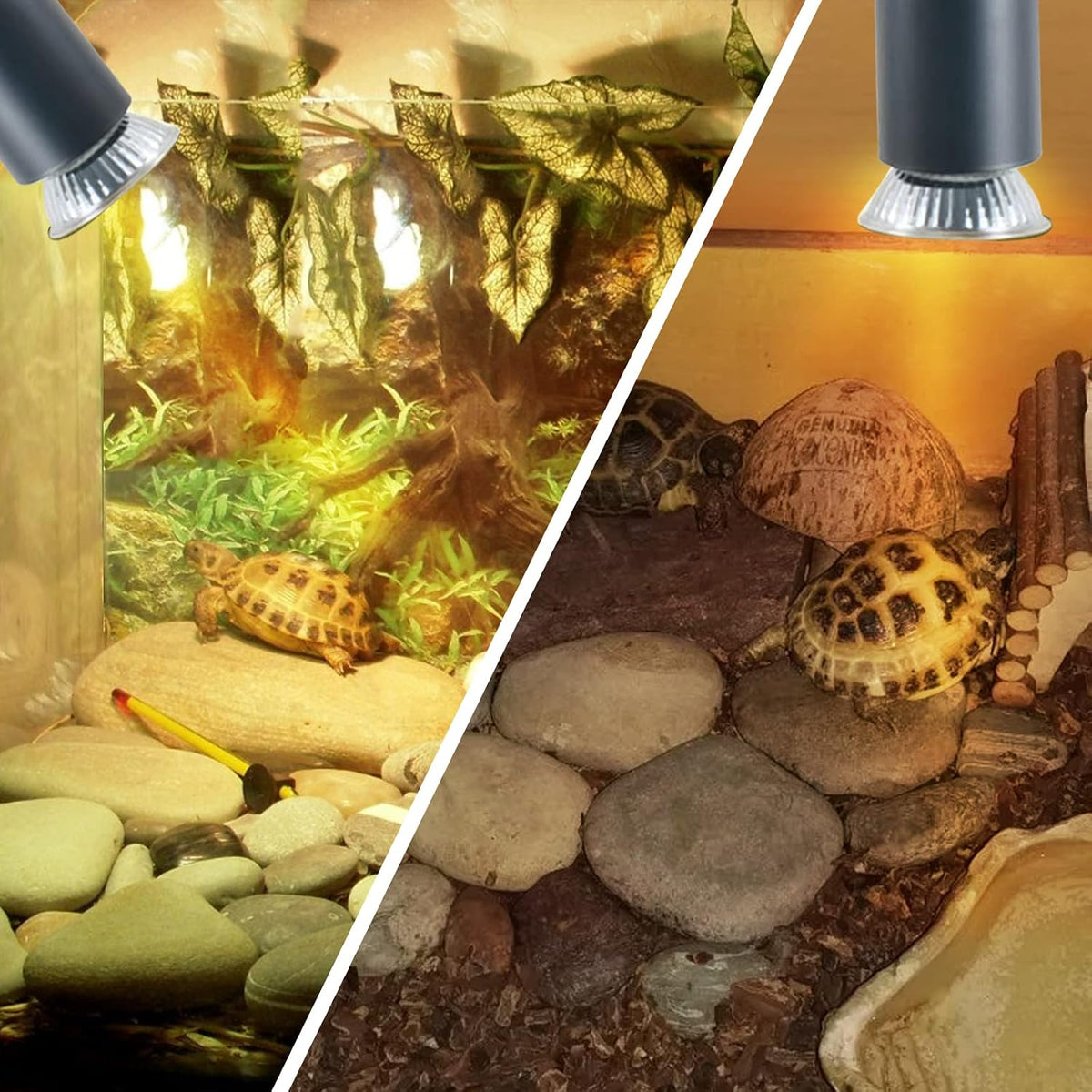 LUCKY HERP Reptile Heat Lamp with Clamp - 50*4 - image 2