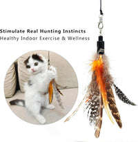 miwoowim 12 Pack Cat Wand Toy Refills with Bells - 6 Feather Refills - image 2