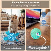 Interactive Dog Toys Dog Soccer Ball to Keep Them Busy – Essentials for Dogs - Blue - image 3