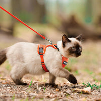 Cat Harness and Leash Set, Adjustable Cat Vest Harnesses – Essentials for Cats - Orange / X-Small - image 2