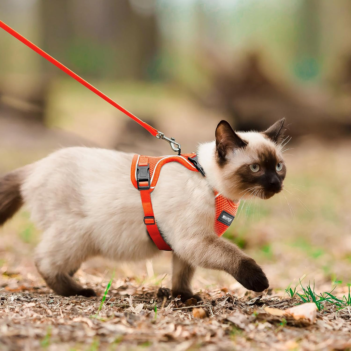 Cat Harness and Leash Set, Adjustable Cat Vest Harnesses – Essentials for Cats - Orange / X-Small - image 2