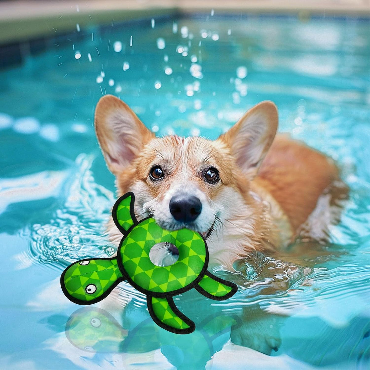 Floating Duck Dog Toy, Squeaky Water Pool Toy for Small Medium Dogs – Essentials for Dogs - Turtle - image 4