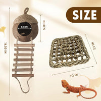 Lizard Coco Den with Ladder - 【Style C】 / 【With Ladder】 - image 4