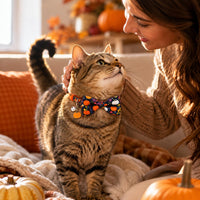 2 Pack Halloween Cat Collars with Bells, Breakaway - Pumpkin & Thanksgiving Turkey - image 4