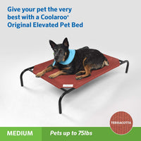 Coolaroo Original Elevated Dog Bed - Medium Dog Bed / Terracotta (Pack of 1) - image 2