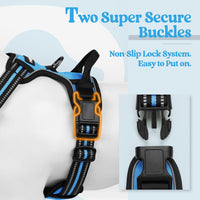 rabbitgoo Dog Harness, No Pull for Large Dogs with 2 Leash Clips - Small / Blue - image 3