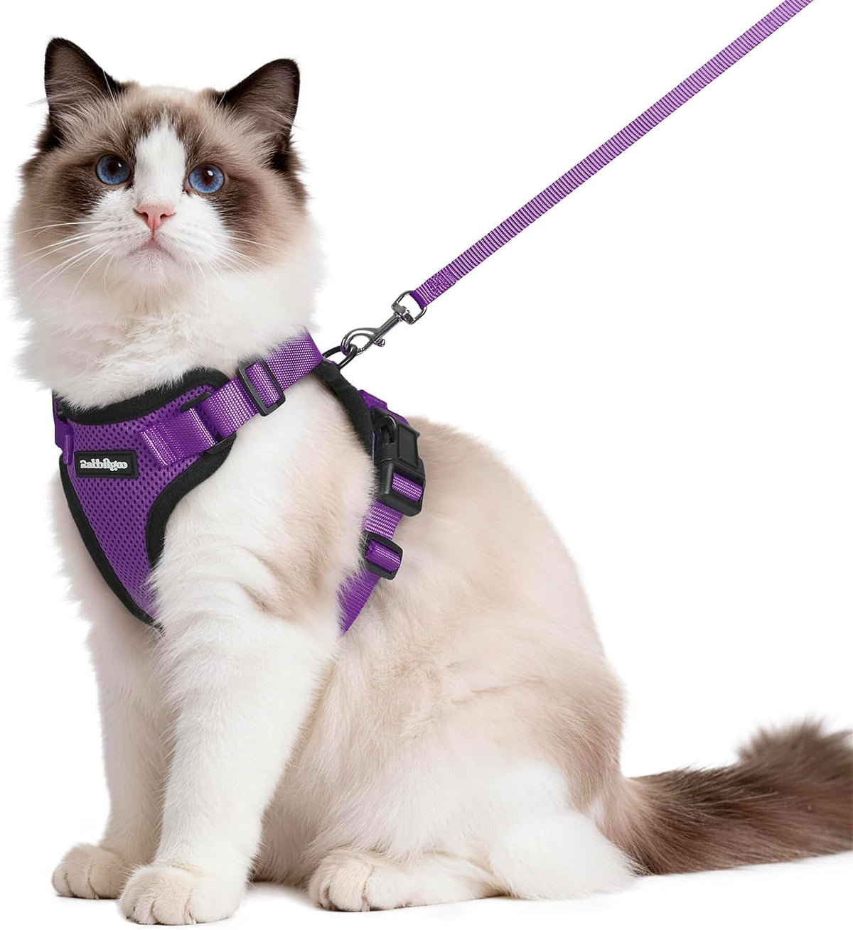 rabbitgoo Cat Harness and Leash Set, Escape Proof Vest - M / Purple