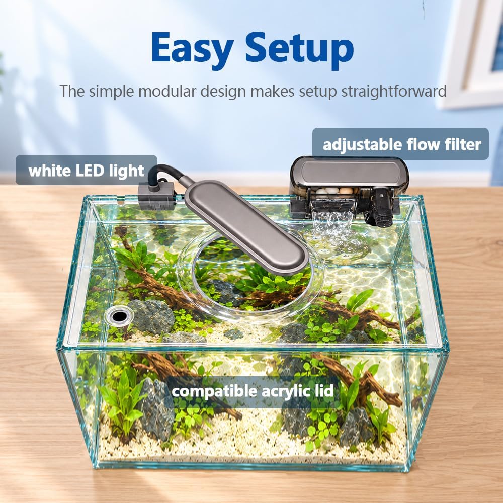 1.25 Gallon Fish Tank Small Glass Aquarium Kit Starter Set Dark - 3 Gallon - image 2