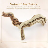 Janinka 14-17" Large Reptile Driftwood Branch for Bearded Dragon Gecko - 18-20" - image 2