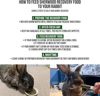 Sherwood Pet Health Rabbit Emergency kit and Bulk Recovery Food (Large kit)
