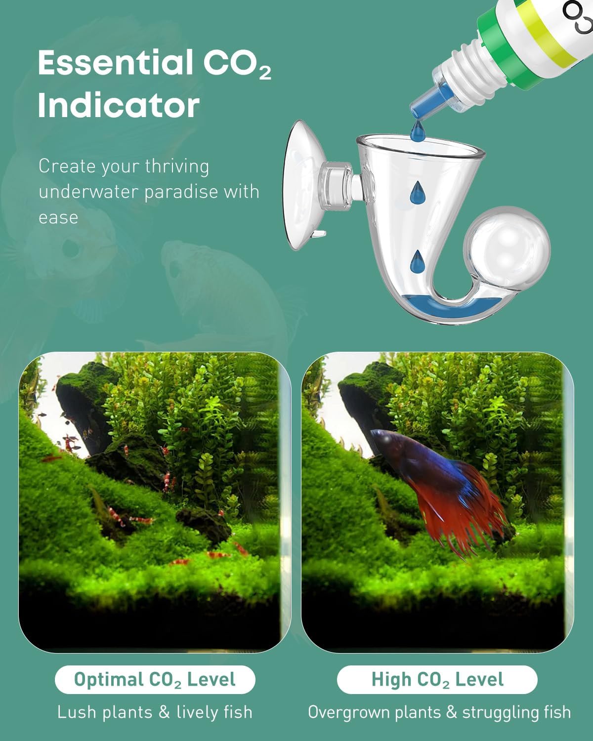 Pawfly Glass CO2 Drop Checker for Aquarium CO2 Indicator for Planted - 1 pc - image 2